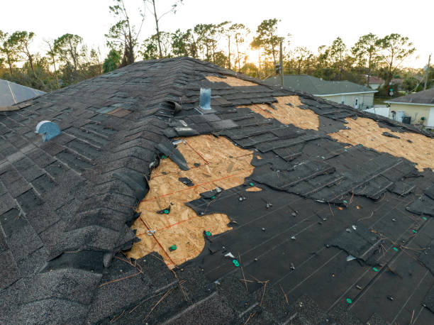 Best Emergency Roof Repair Services  in Rutledge, TN